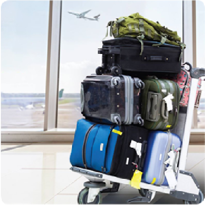 Promo Image for Prepaid Excess Baggage